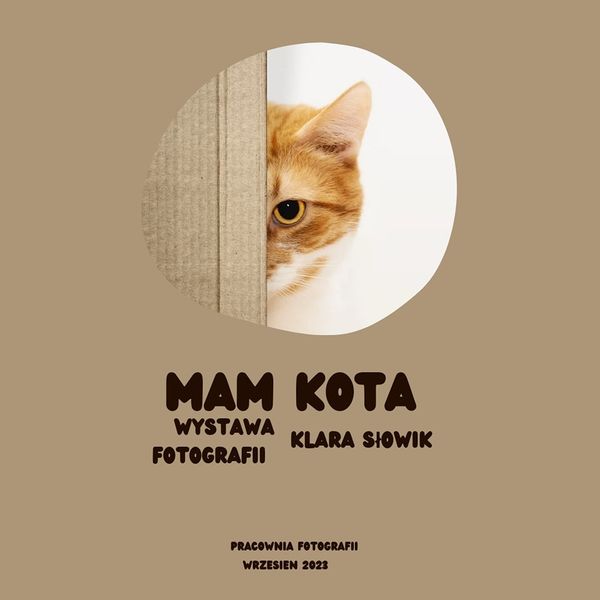 Klara Słowik " Mam Kota"wystawa foto